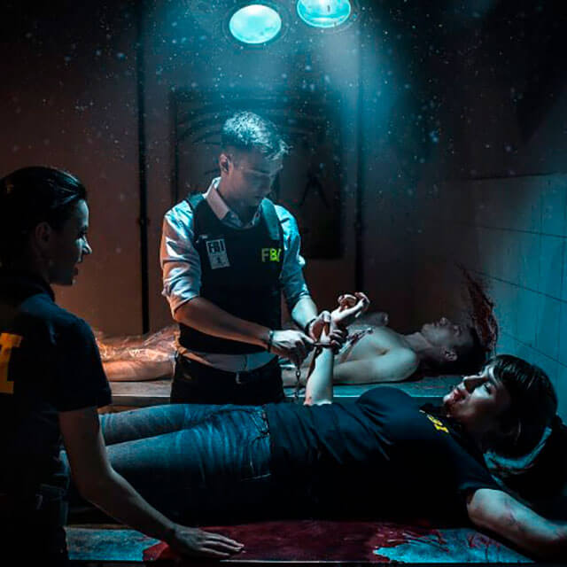 The Castle of Loches